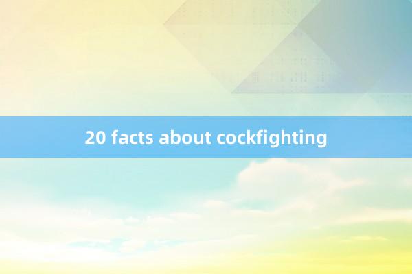 20 facts about cockfighting